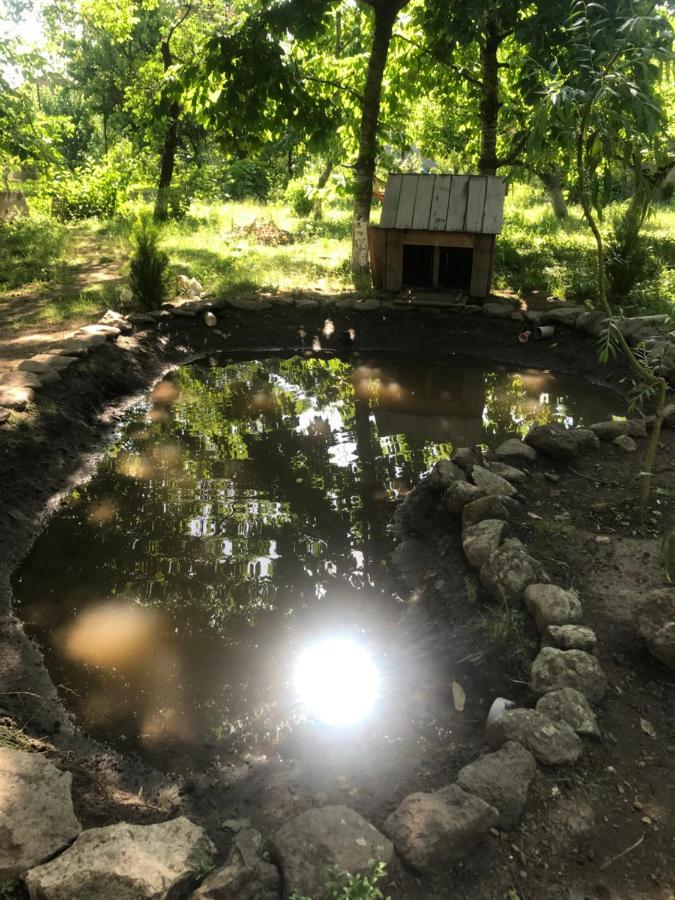 Karbi Guests House Qotuknerゲストハウス エクステリア 写真
